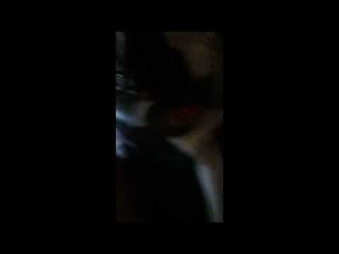 Rocket the husky gets a little rough