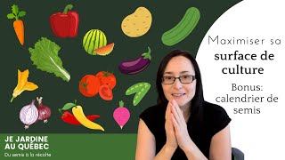 Comment maximiser sa surface de culture et augmenter ses récoltes + calendrier de semis