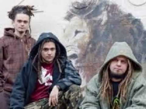 NDK - bufaj sobie sorcik