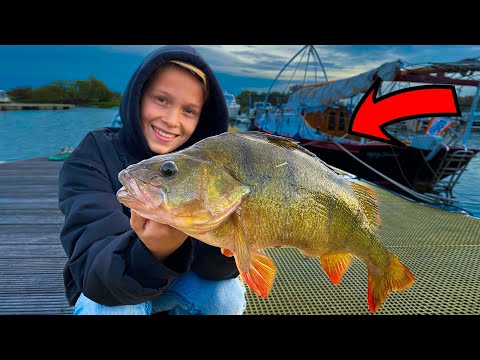 13-JARIGE ROOFVIS BAAS VANGT RECORD BAARS!!