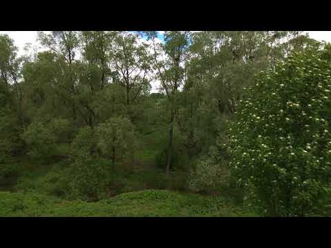 11 минут природы в деревни Угузево