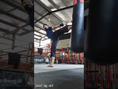feint low to side kick #shorts #youtubeshorts #viralvideo #mma #sports #tutorial