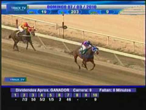 Resumen 7 de Marzo 2010 - La Rinconada