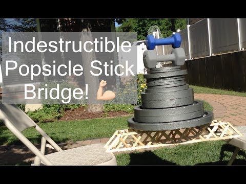 How Much Weight Can a Popsicle Stick Bridge Hold? [Answer]