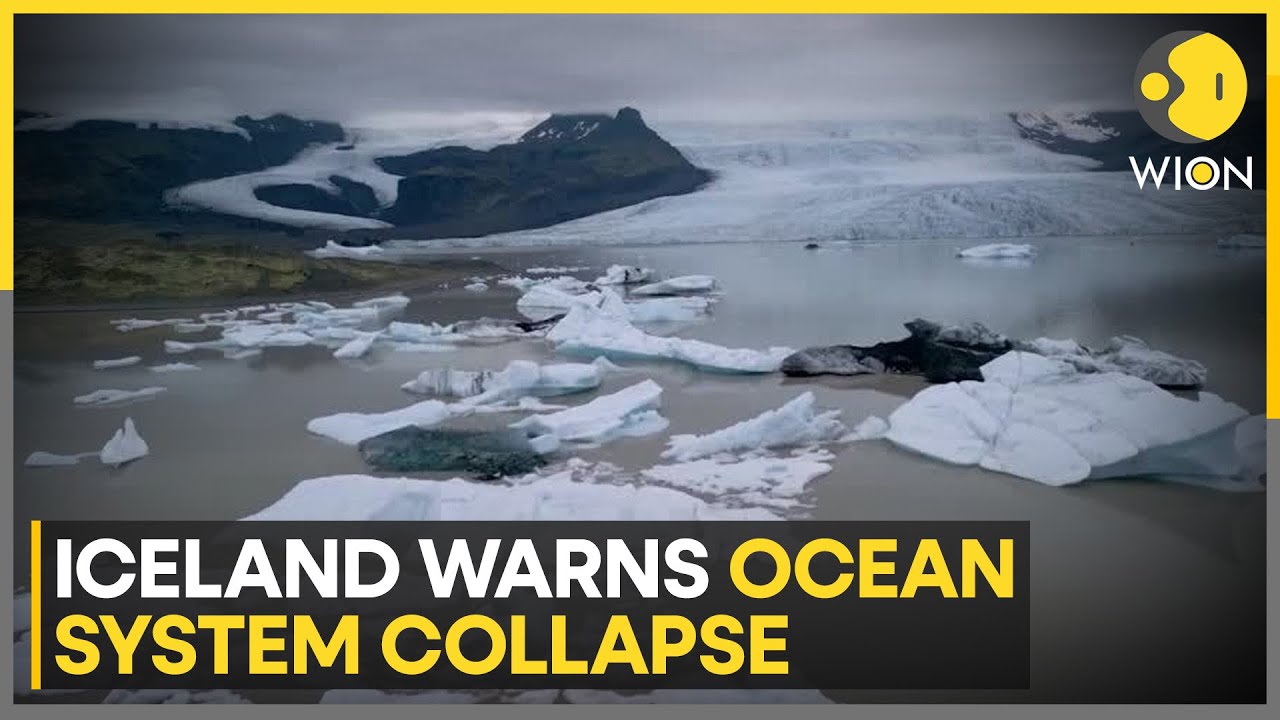 Iceland Declares Potential Atlantic Current Collapse a National Security Threat | WION
