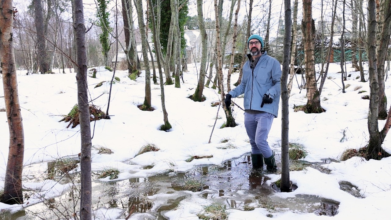 Descripción del Video