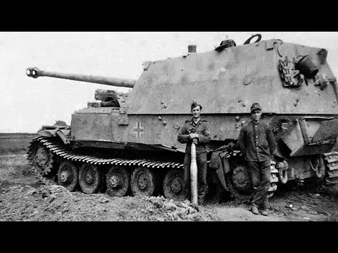 Operation Citadel The Battle of Kursk