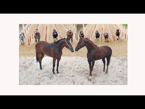 XV GP Haras Primavera - Canindé Ceará - 25, 26 e 27 de Março de 2022