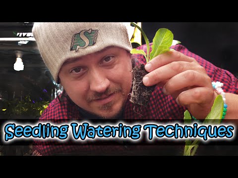 Garden Quickies Volume 1 Episodes 1 to 10