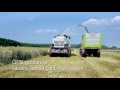 Combine de recoltat furaje 4-WD Claas Jaguar 950
