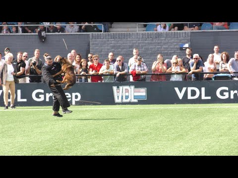 2022   KNPV   Compilatie    Stokstellen   PH2 en Object