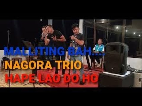 HAPE LAO DOHO#COVER LIVE TRIO#FEAT HASBY SIHOMBING#PANIEL PANJAITAN#CIPT.TAGOR TAMPUBOLON
