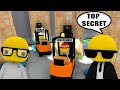 WORKING IN A TOP SECRET LAB in WOBBLY LIFE