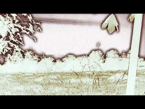 [FREE] KILL EBOLA x PULSE TYPE BEAT "ABYSMAL" [PROD. SCXURGE]