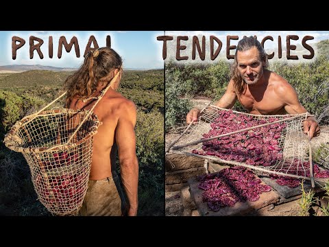 Prickly Pear Harvest and Preservation for Winter - ASMR (Season 2, episode 6)