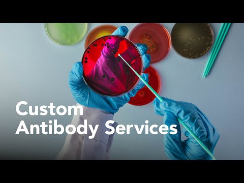 R&D Systems Custom Antibody Generation Services - Bio-Techne
