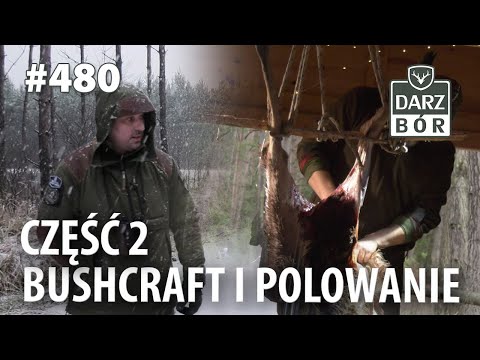 Darz Bór odc. 480 Buszkraft i Polowanie cześć 2 . Jak rozebrac Jelenia i przetrwać noc w hamaku.