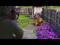 Who Dug First