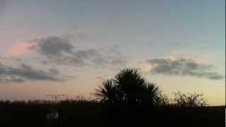 preview picture of video '120 plus Geese over Tresillian near Truro'