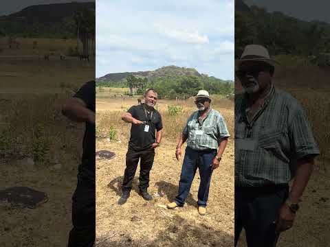 Novidade chegando 🚀🚀🌾 Fazenda 5.000 hectares em Bonfim/RR