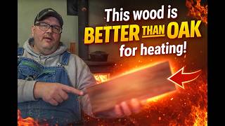 Rarely mentioned wood species for home heating-Better than Oak
