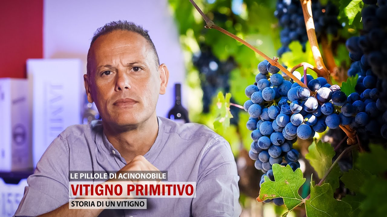 🍇IL VITIGNO PRIMITIVO