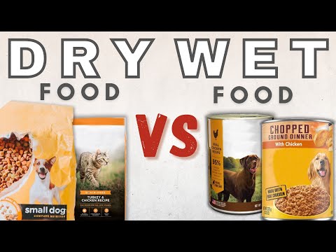 Dry Vs. Wet Pet Food - What's The Difference?