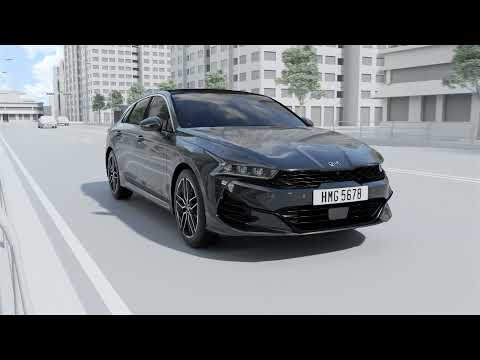 Driver Attention Warning (DAW)