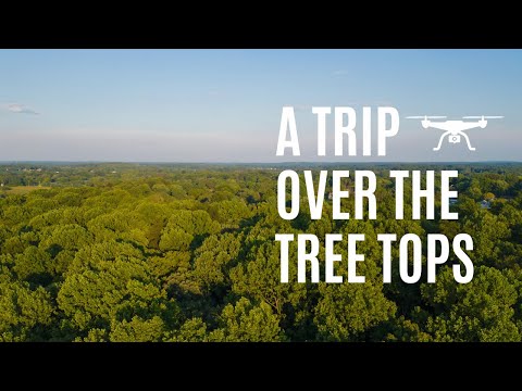 Christopher Abt video