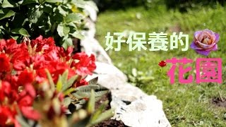 《幸福有家》 如何设计出轻松好保养的花园~不长杂草!草坪和花圃隔离!
