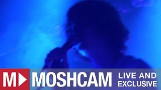 Animal Collective - Daily Routine | Live in Sydney | Moshcam