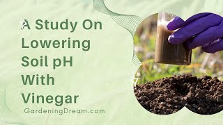A Study On Lowering Soil pH With Vinegar