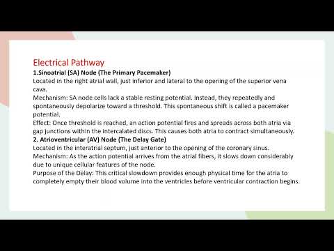 Anatomy and psychology lec.3