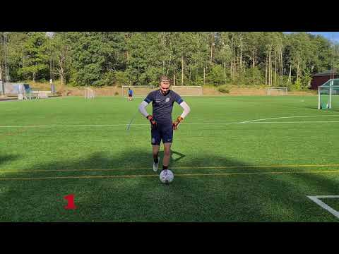 Warm-Up For Goalkeepers/10 exercises/Sweden