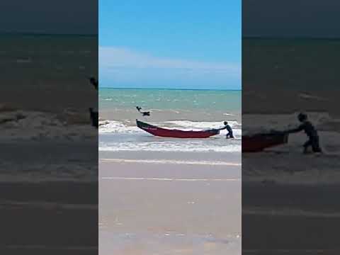 Alcobaça Bahia. #shot #verão #shots #shortvideo #natureza #ferias #short #shorts