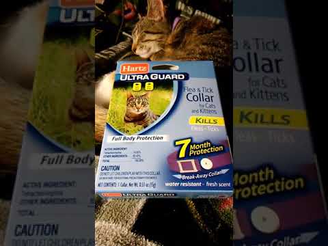 Hart's Ultra Guard by Jeanette