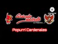 Popurrí Cardenales - Varios Éxitos - Cardenales del Éxito