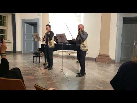 Dumitru Chirita beim Tag der rumänischen Kultur in Karlsruhe 2024