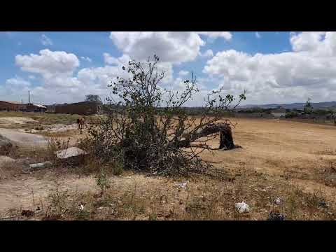 Aqui tá crescendo rápido em Lagoa do Ouro