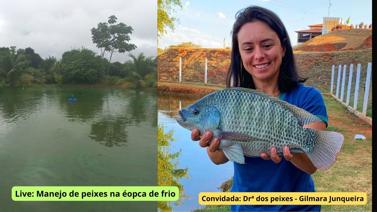 [Live Drª dos Peixes ] - Manejo de peixes na época do frio