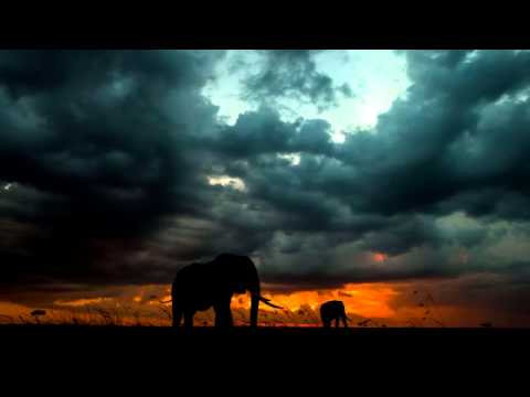 1 Hora de musica relajante con tambores africanos - African Drums (djembe, dunumba, instrumental)