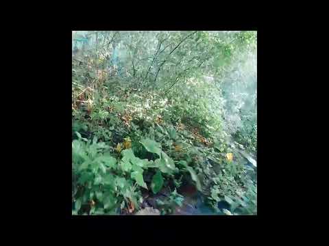 #últimas tormentas en San Ramón, Cuscatlan sur El Salvador