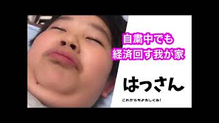【今日のはっさん】久々に動画撮れた