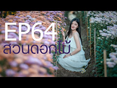 มือใหม่หัดถ่ายภาพ : EP064 : ถ่ายรูปในสวนดอกไม้