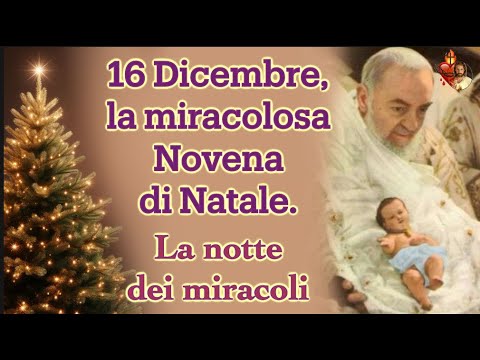 December 16th, the miraculous Christmas Novena. The night of miracles