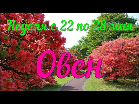 ОВЕН♈️Неделя с 22 по 28 мая.