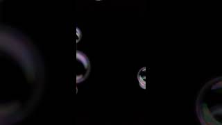 Nerina Pallot - Alien - Dear Frustrated Superstar