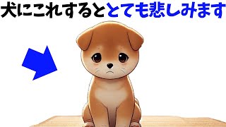 【犬が悲しむ飼い主の行動】 犬の雑学 #犬 #いぬ 