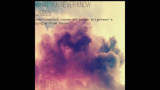 What You Never Know - Instrumental Cover 2022 Version - Sarah Brightman