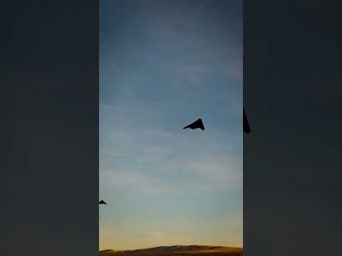 F-117 Nighthawk stealth fighters depart an unknown airbase. #f117 #stealth #nighthawk #airforce #dcs